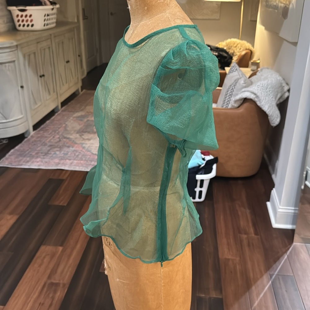 Endless Rose, sheer blouse size medium